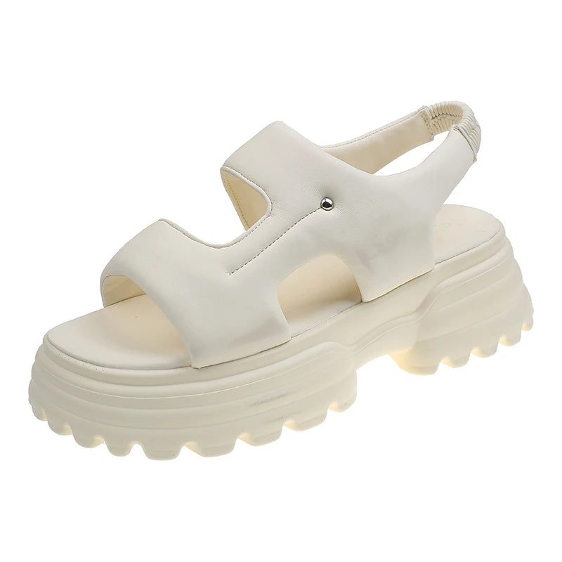 48146074829106|48146075025714|48146075058482|48146075091250|48146075124018|48146075156786